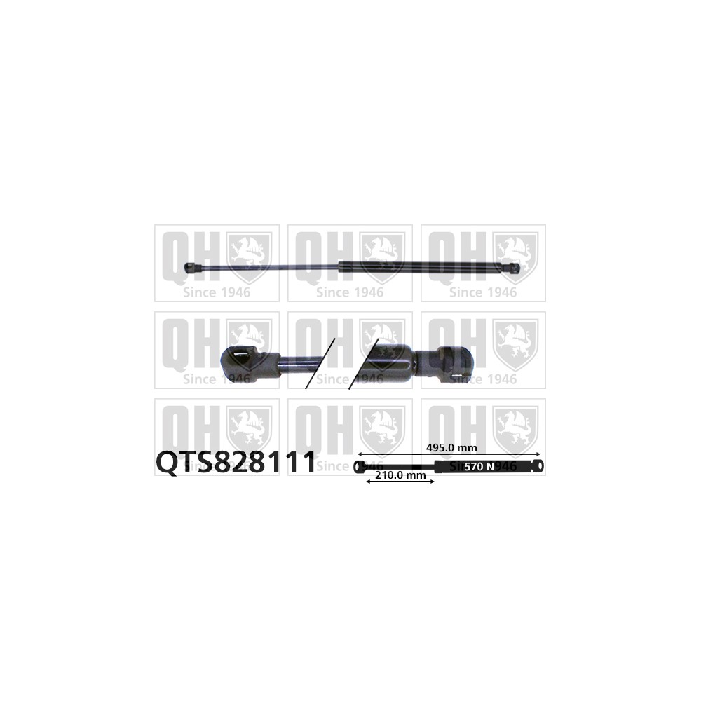 Image for QH QTS828111 Gas Spring
