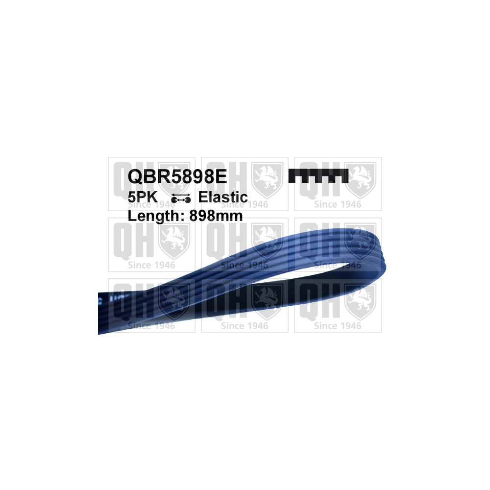 Image for QH QBR5898E Multi-ribbed belt