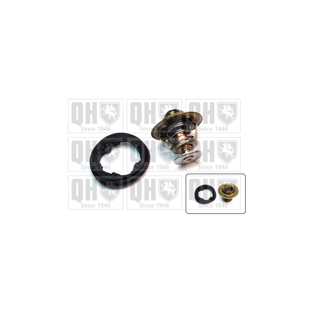 Image for QH QTH366K Thermostat Kit