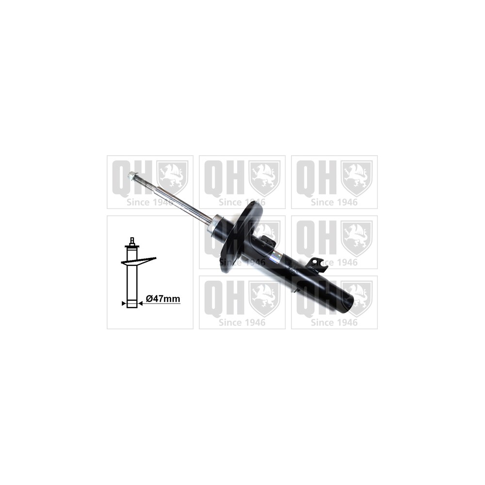 Image for QH QAG878006 Shock Absorber