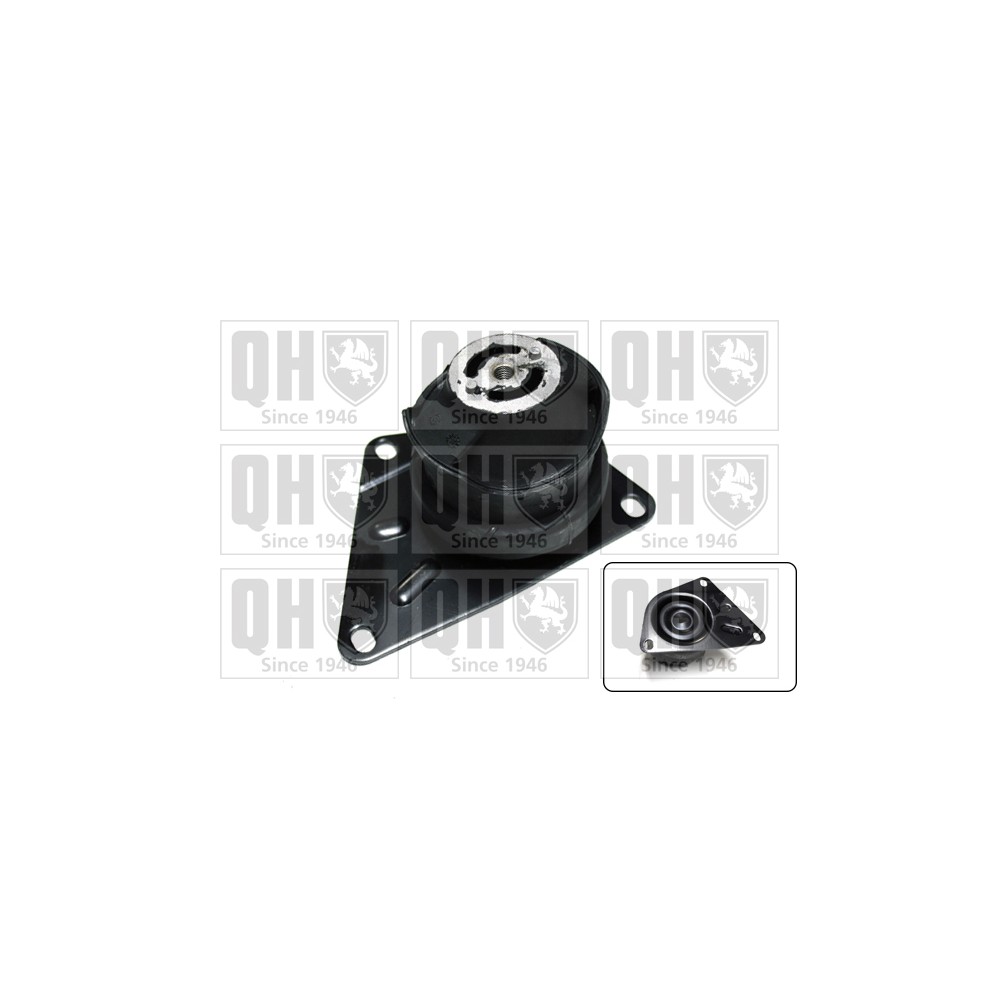 Image for QH EM4198 Engine Mounting