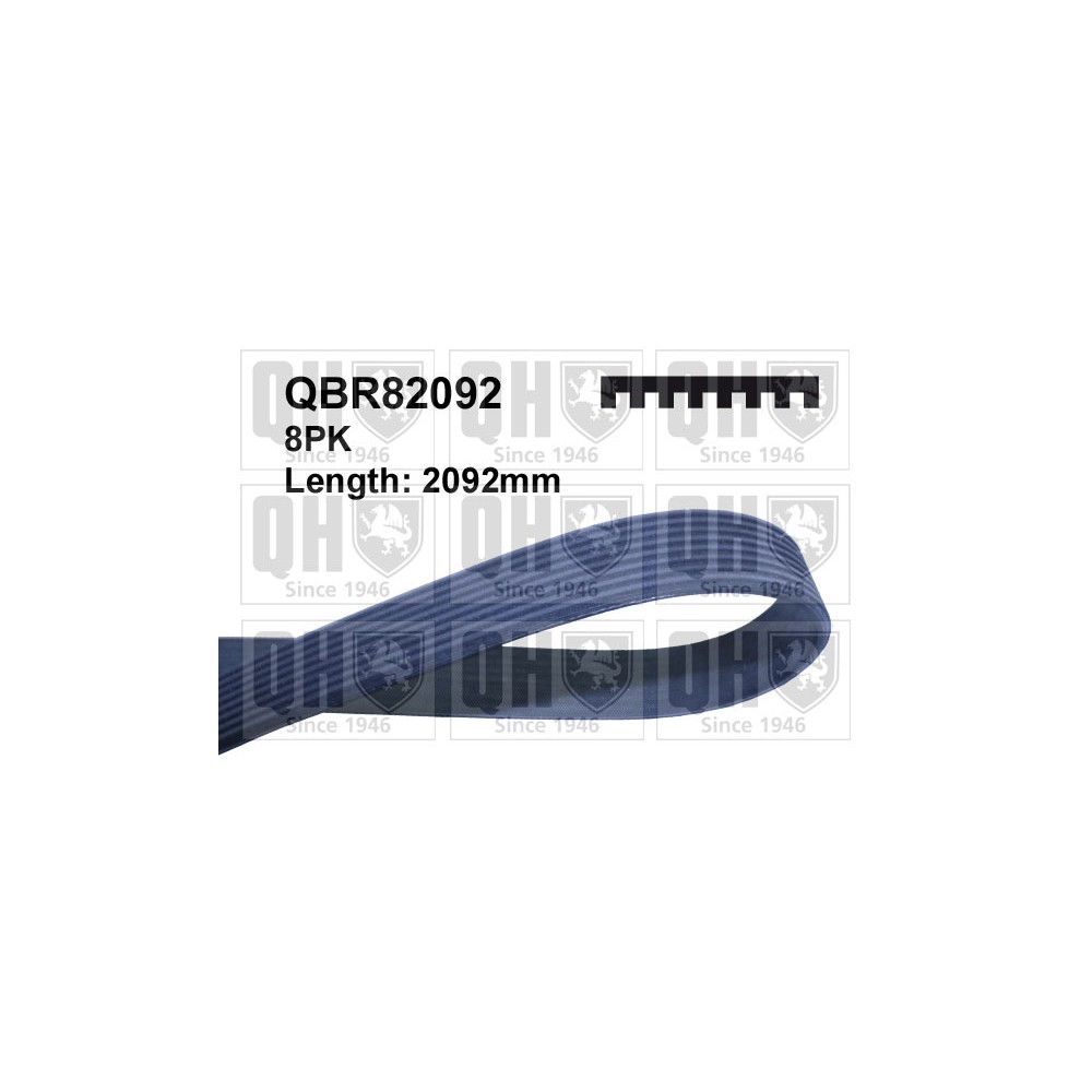 Image for QH QBR82092 Drive Belt