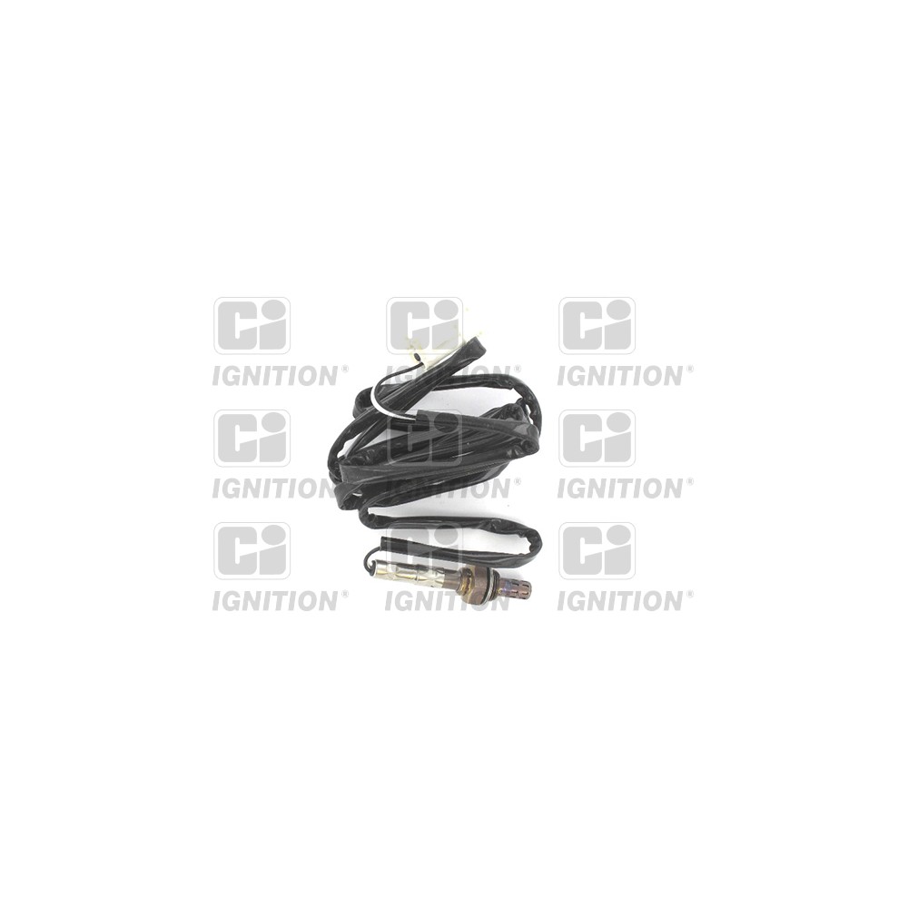 Image for Oxygen Sensor