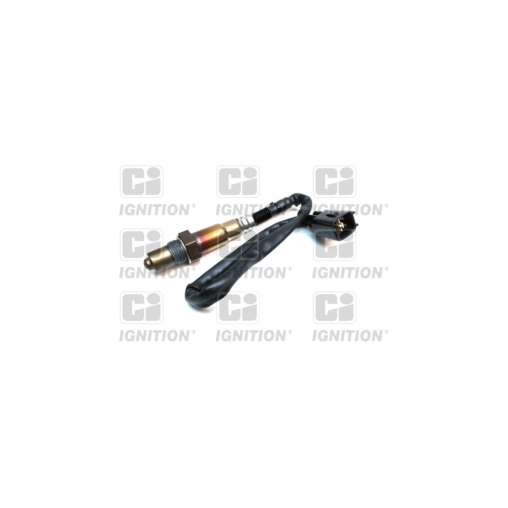 Image for Oxygen Sensor
