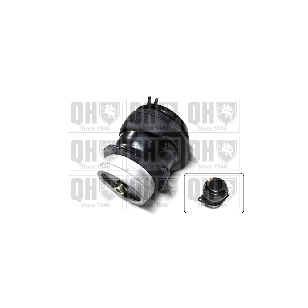 Image for QH EM1931 Engine Mounting