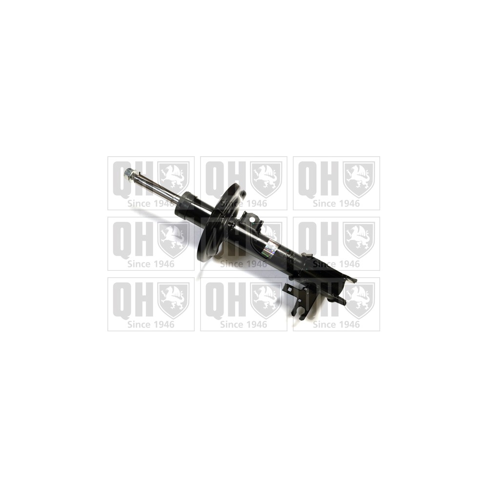Image for QH QAG878010 Shock Absorber