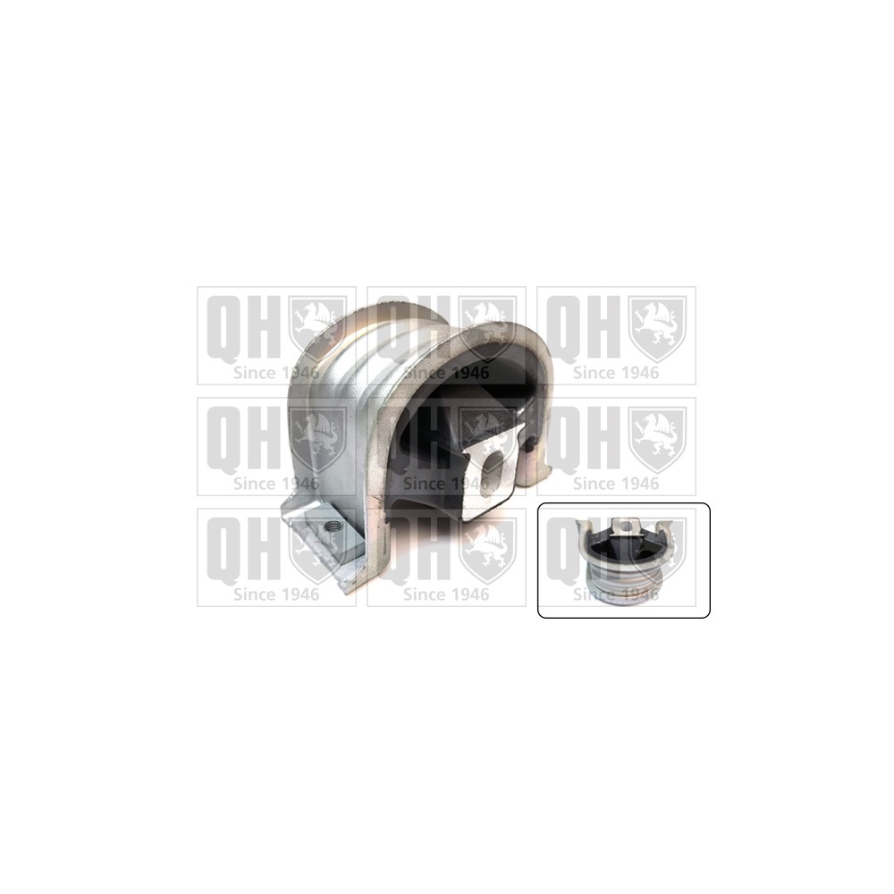 Image for QH EM4771 Engine Mounting