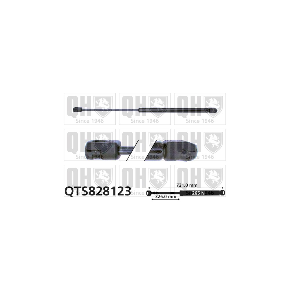 Image for QH QTS828123 Gas Spring