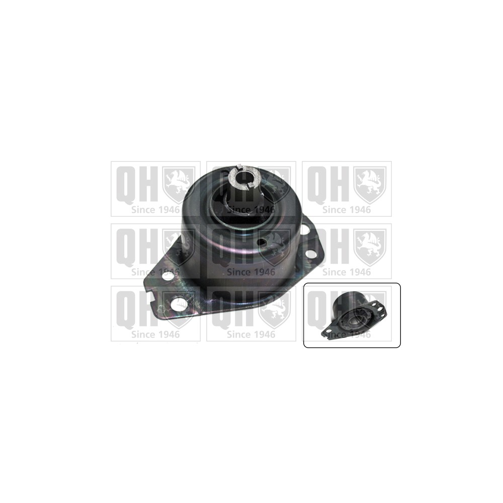 Image for QH EM3149 Engine Mounting