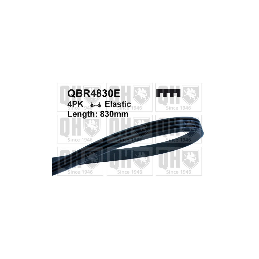 Image for QH QBR4830E Drive Belt