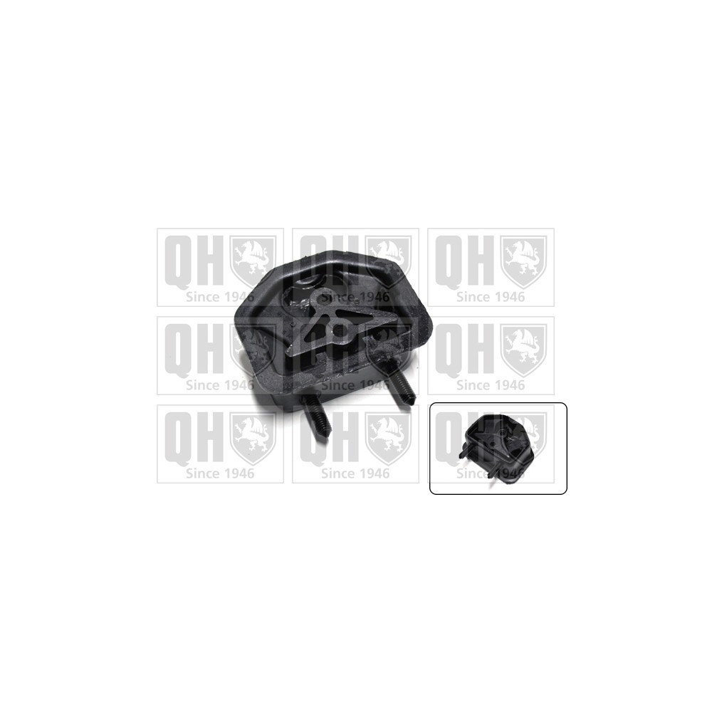 Image for QH EM2807 Engine Mounting