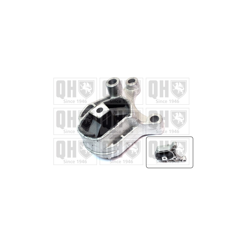 Image for QH EM3166 Engine/Gearbox Mounting - Rear