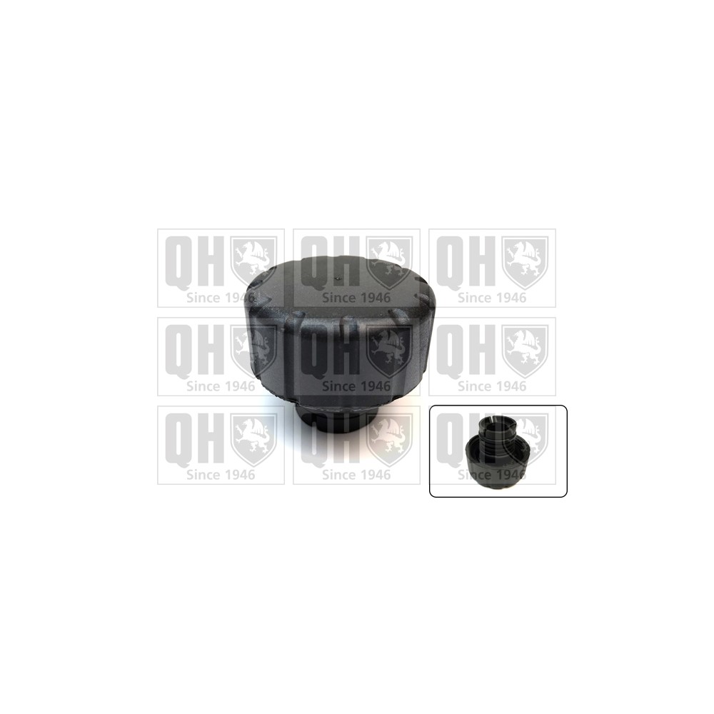 Image for QH FC559 Expansion Tank Cap