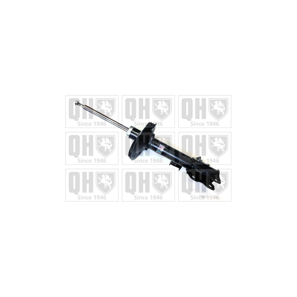 Image for QH QAG878069 Shock Absorber