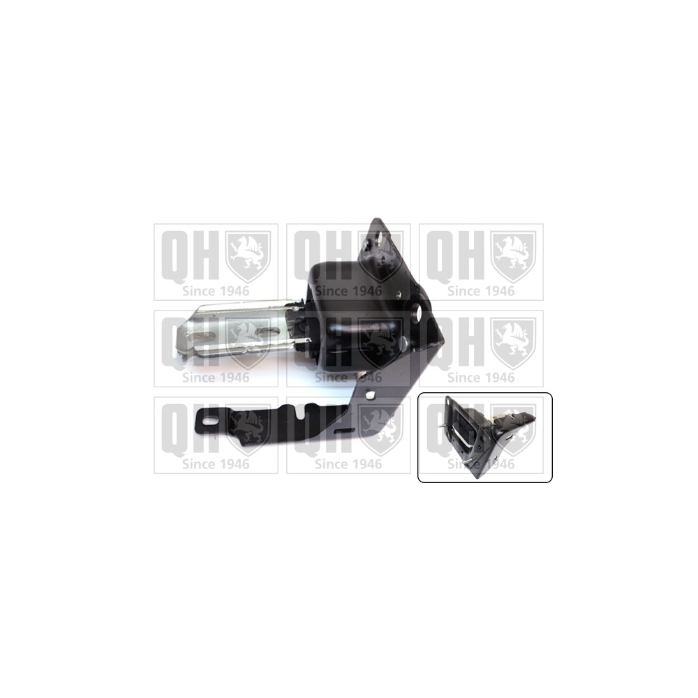 Image for QH EM4751 Engine Mounting