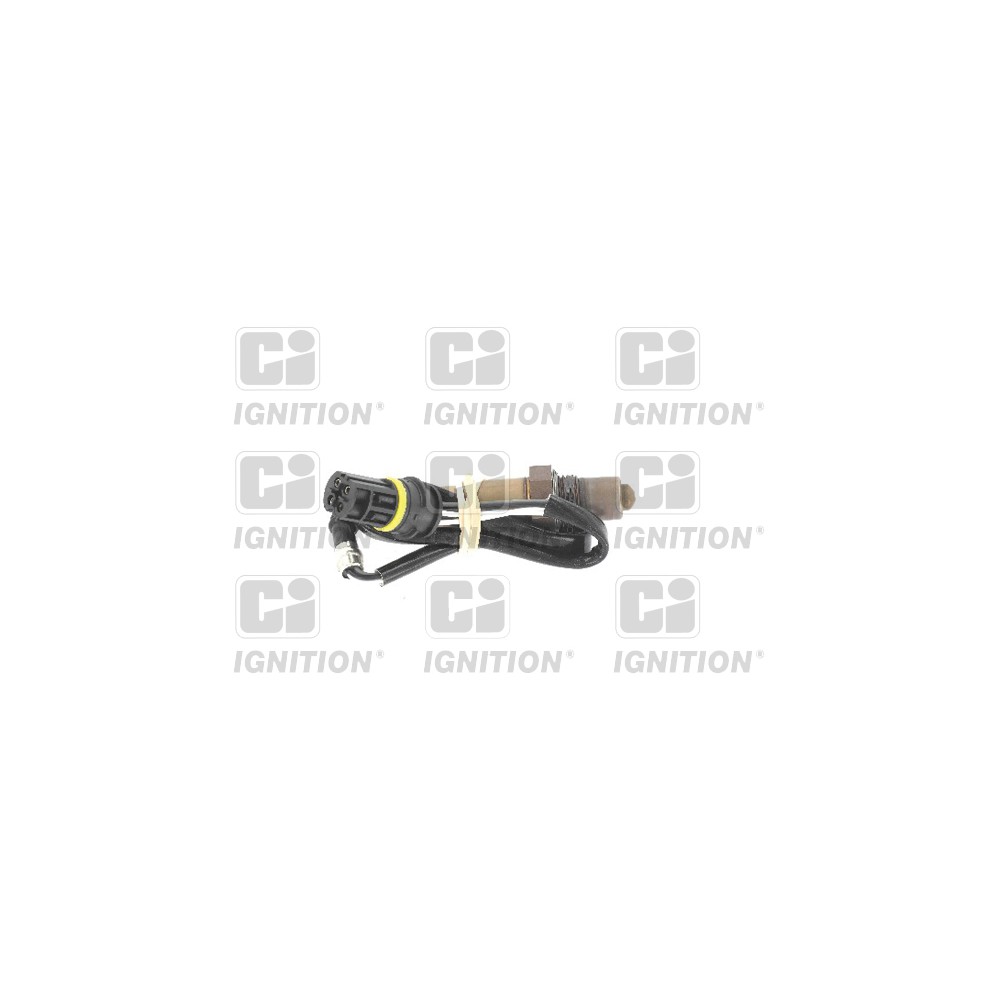 Image for Oxygen Sensor