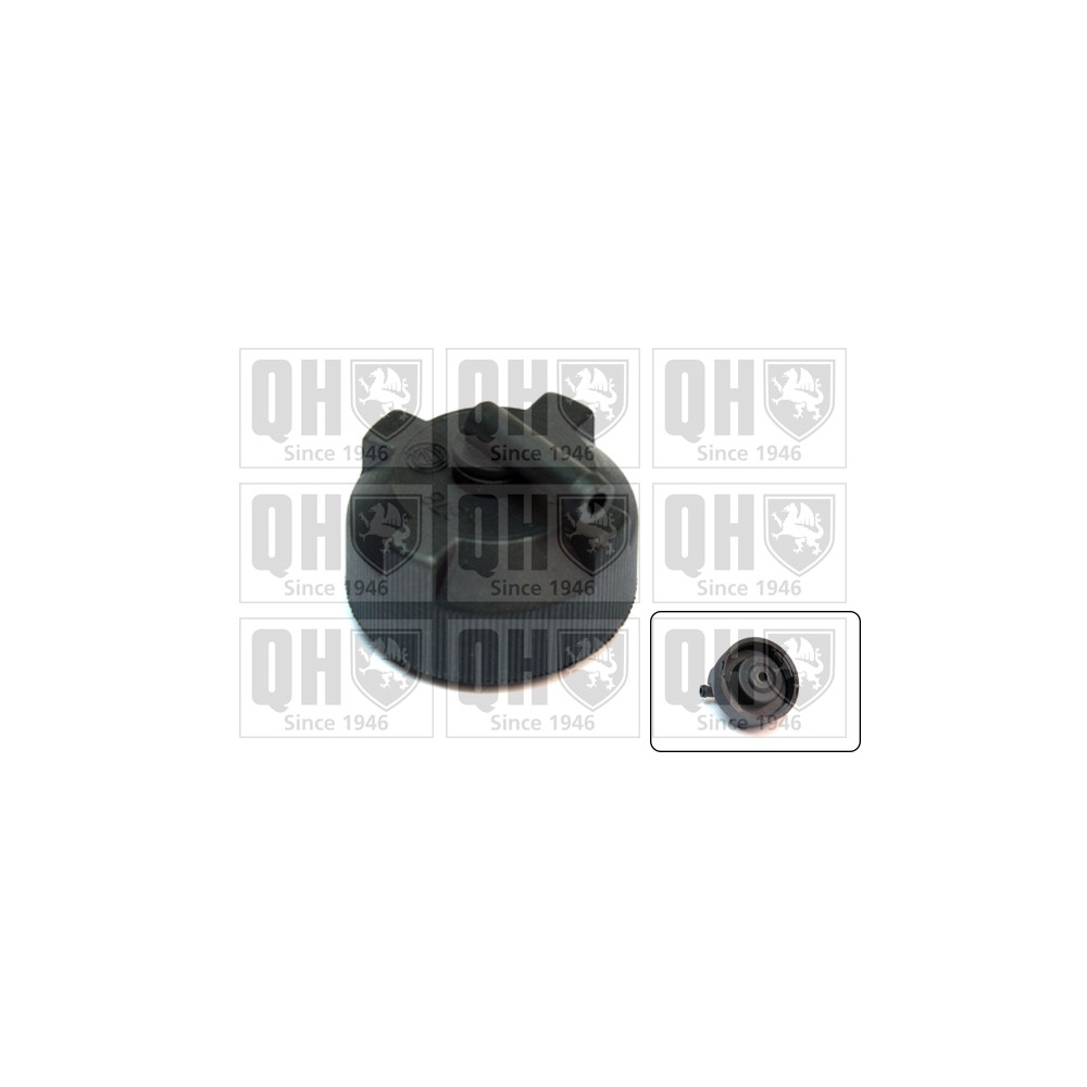 Image for QH FC518 Expansion Tank Cap