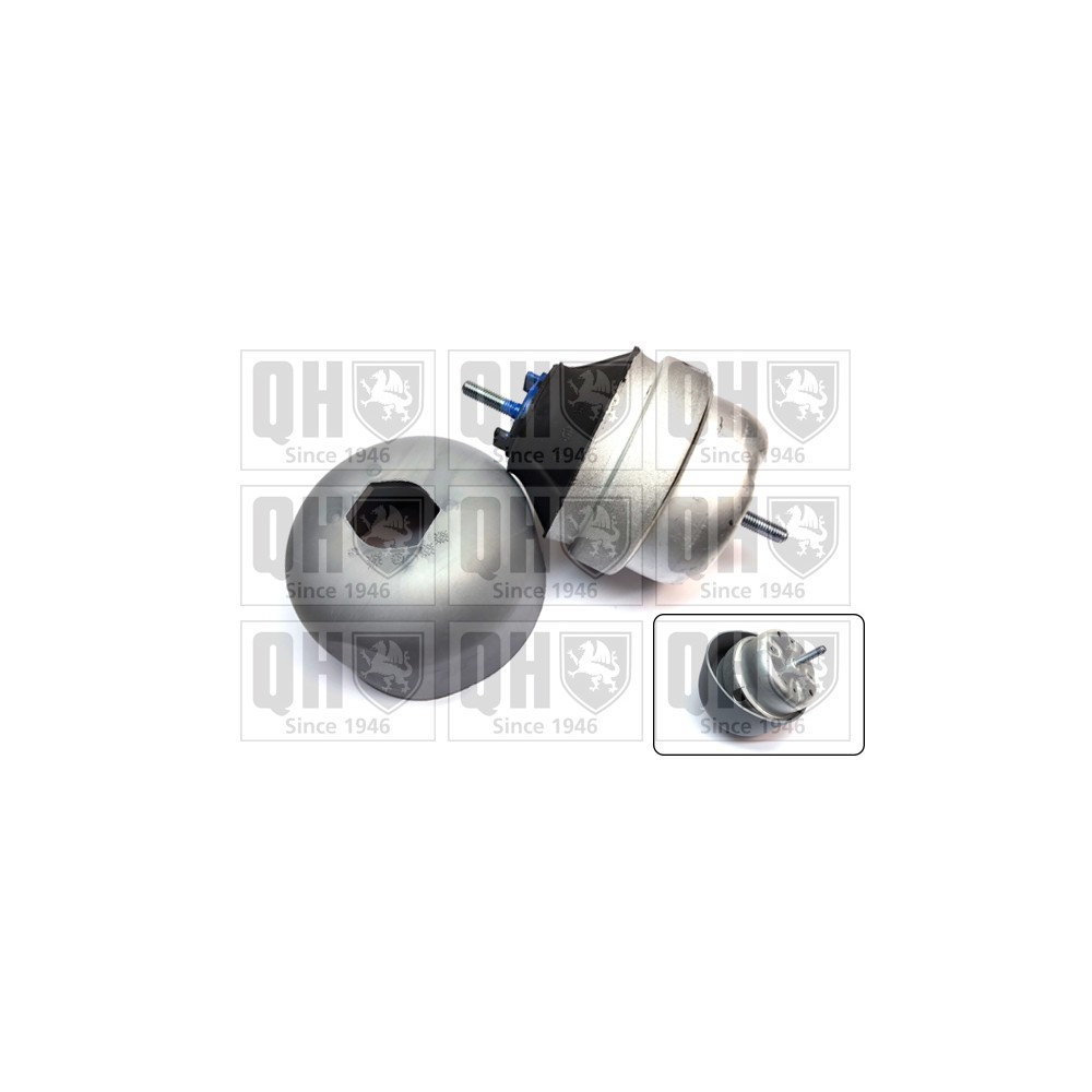 Image for QH EM4819 Engine Mounting