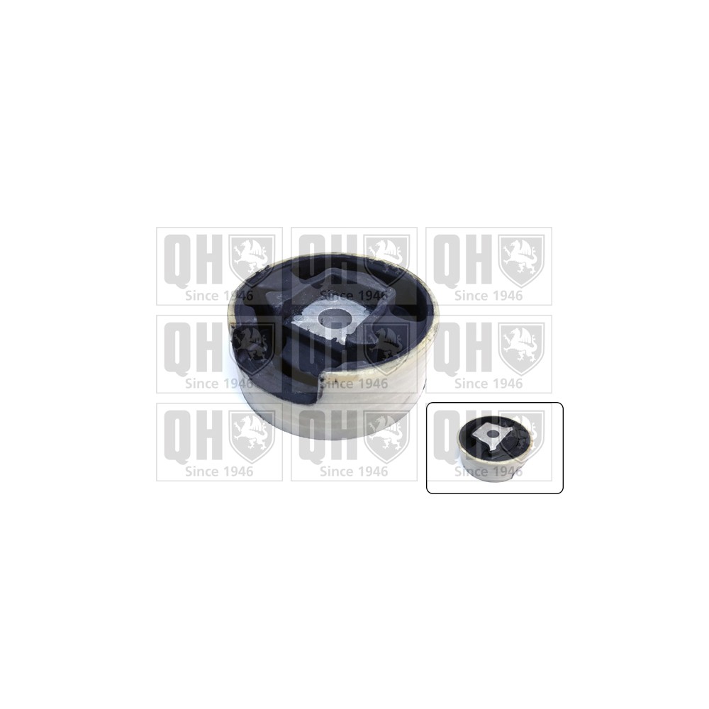 Image for QH EM4732 Engine Mounting