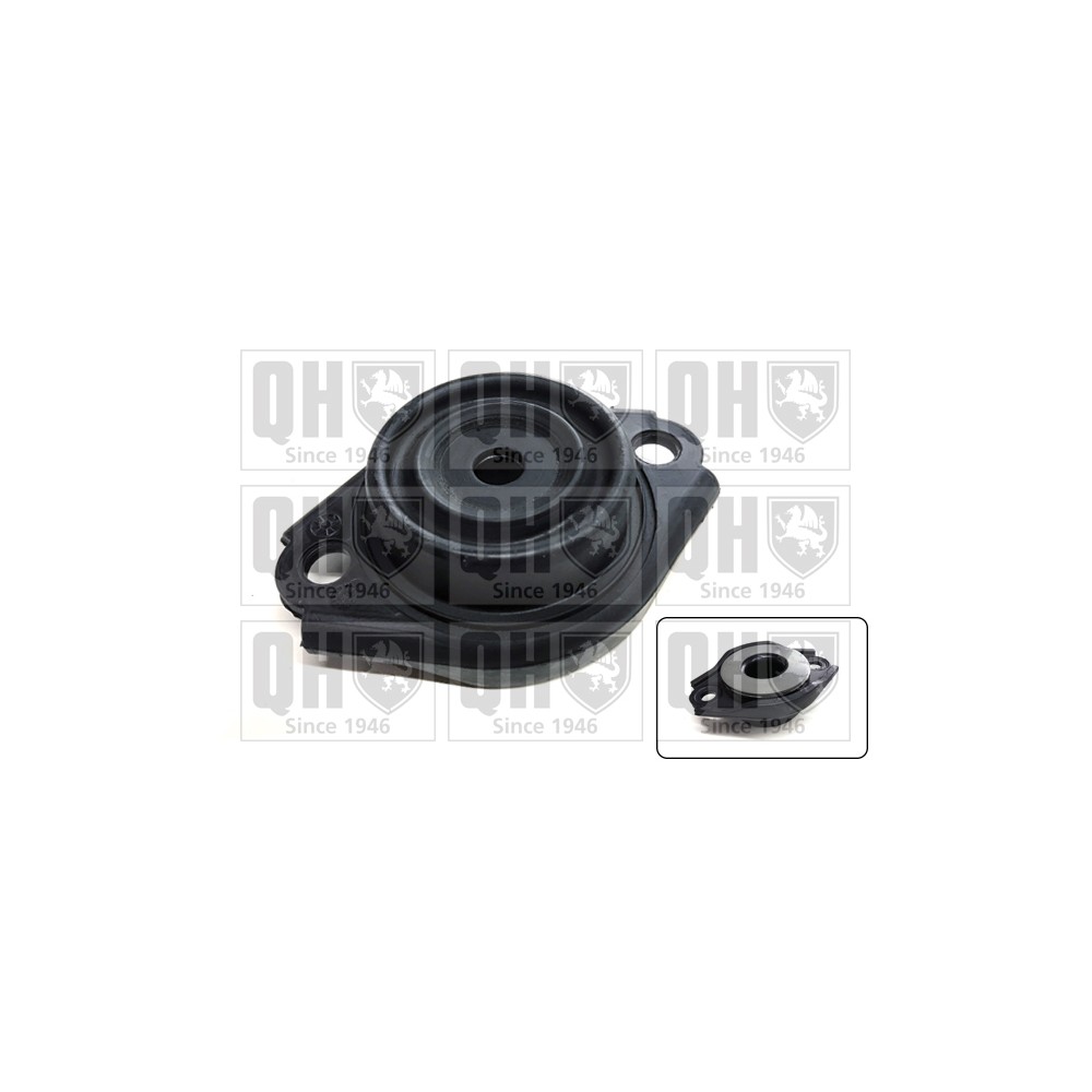 Image for QH EMR4902 Top Strut Mounting- exc. Bearing