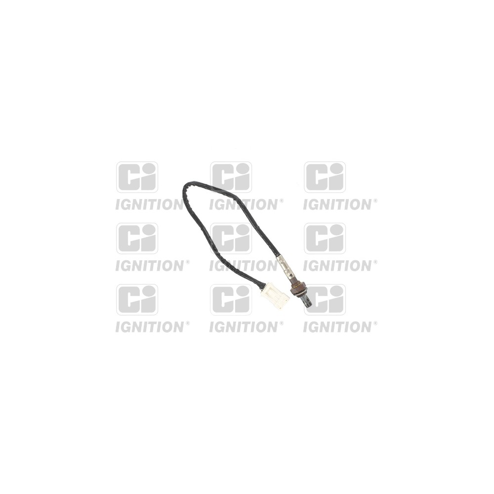 Image for Oxygen Sensor