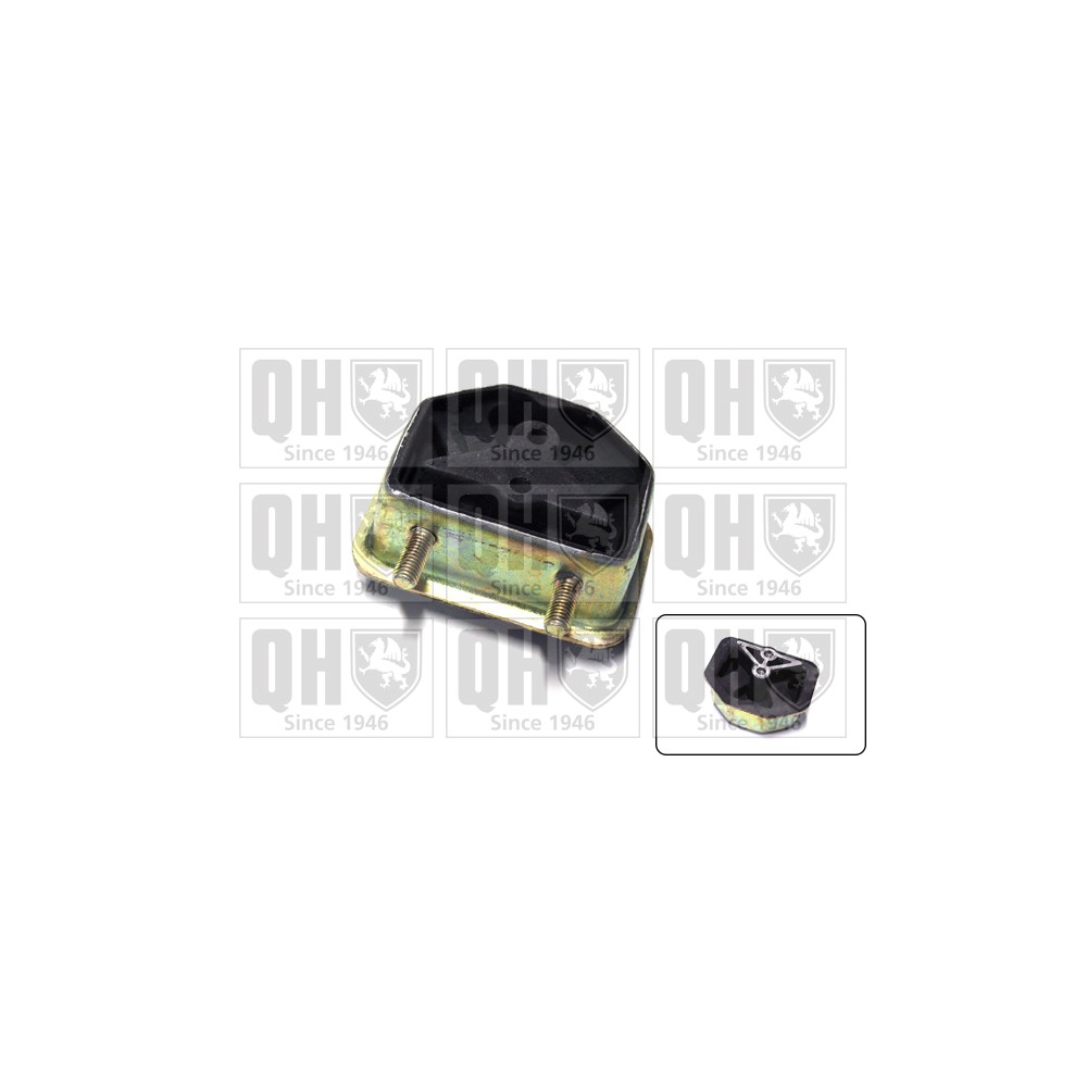 Image for QH EM2460 Engine Mounting