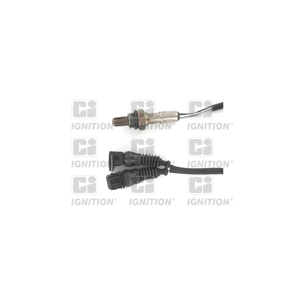 Image for Oxygen Sensor