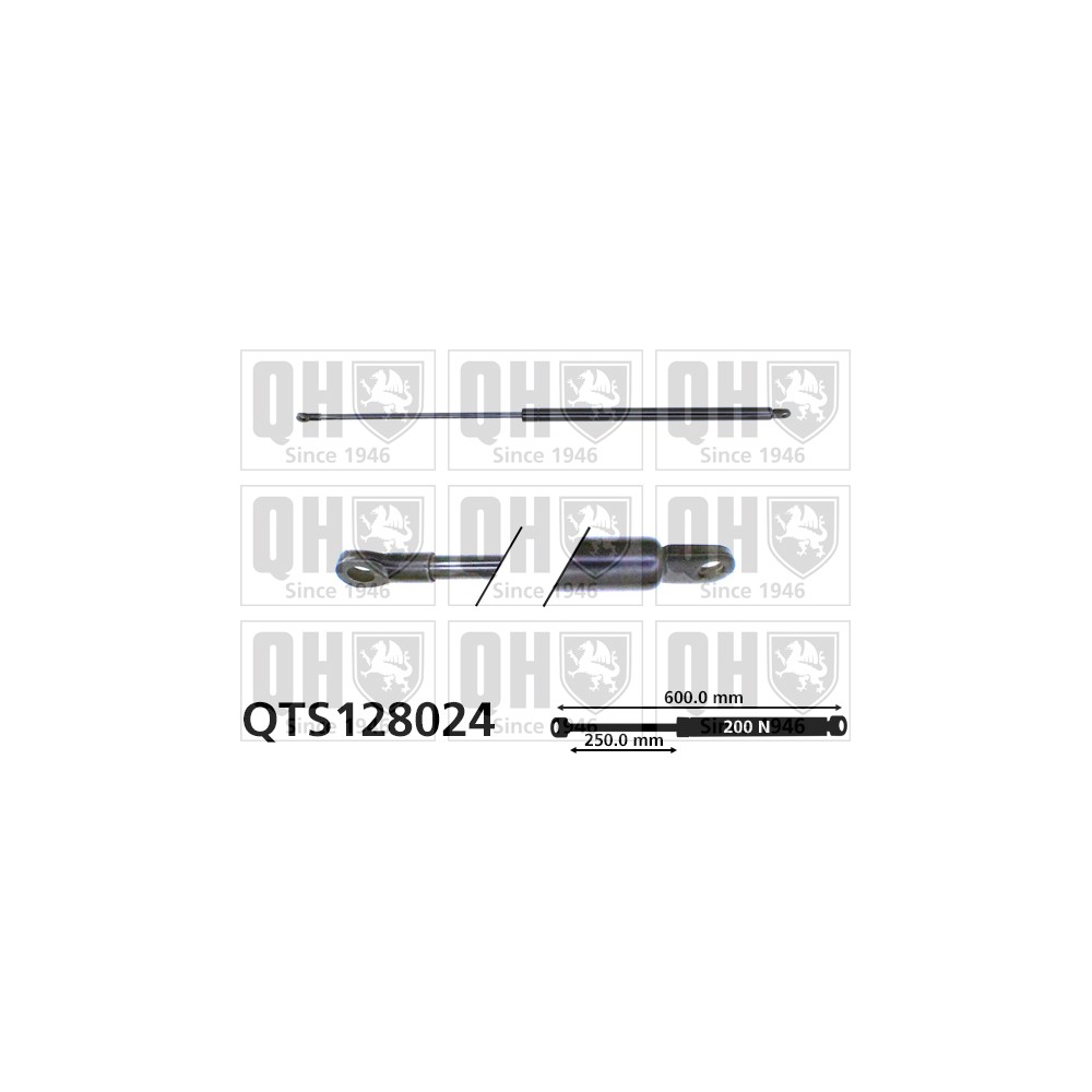 Image for QH QTS128024 Gas Spring