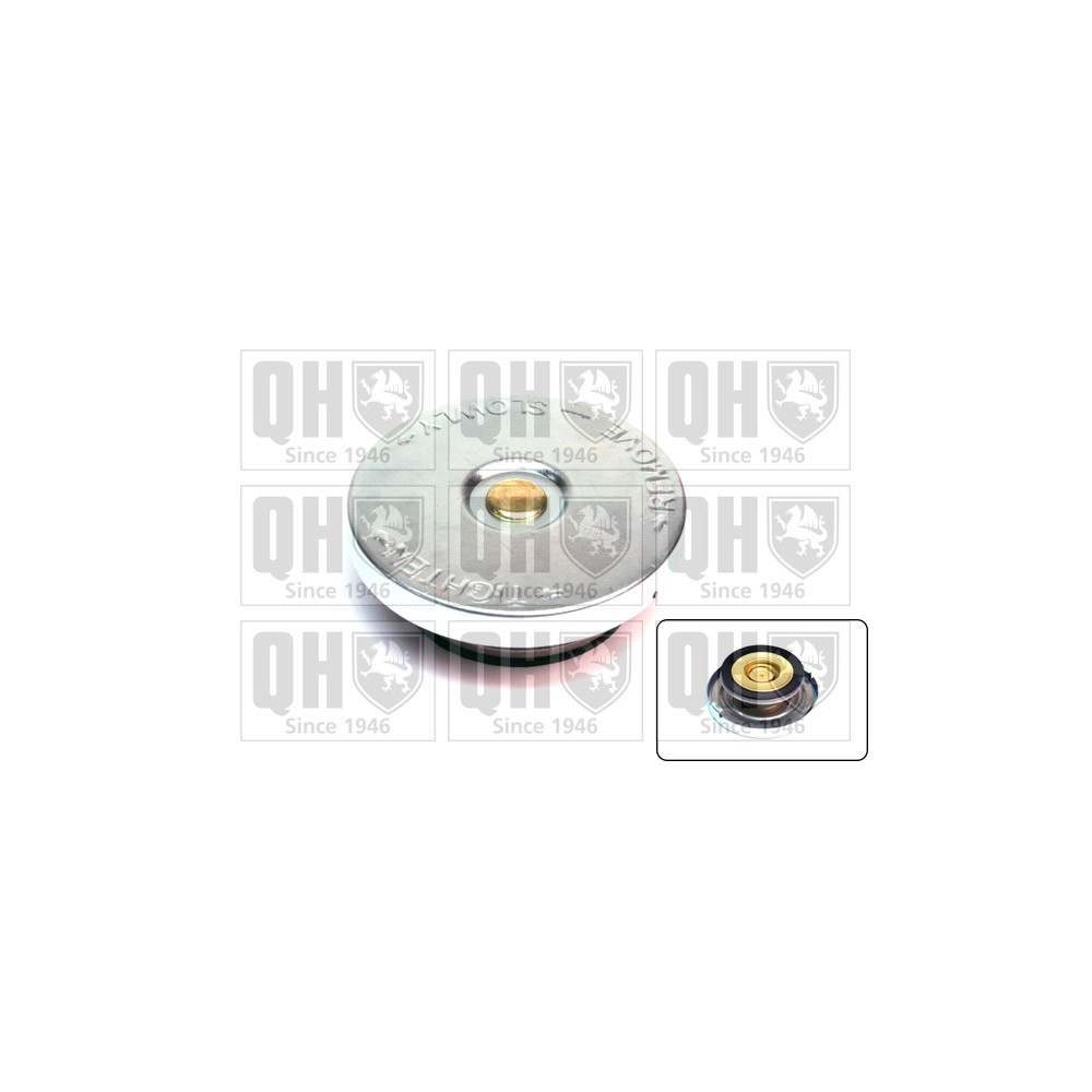 Image for QH FC42 Radiator Cap