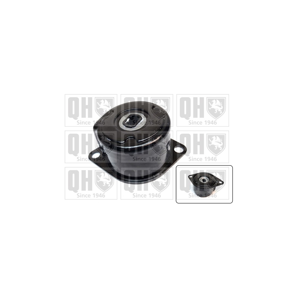 Image for QH QTA1566 Drive Belt Tensioner