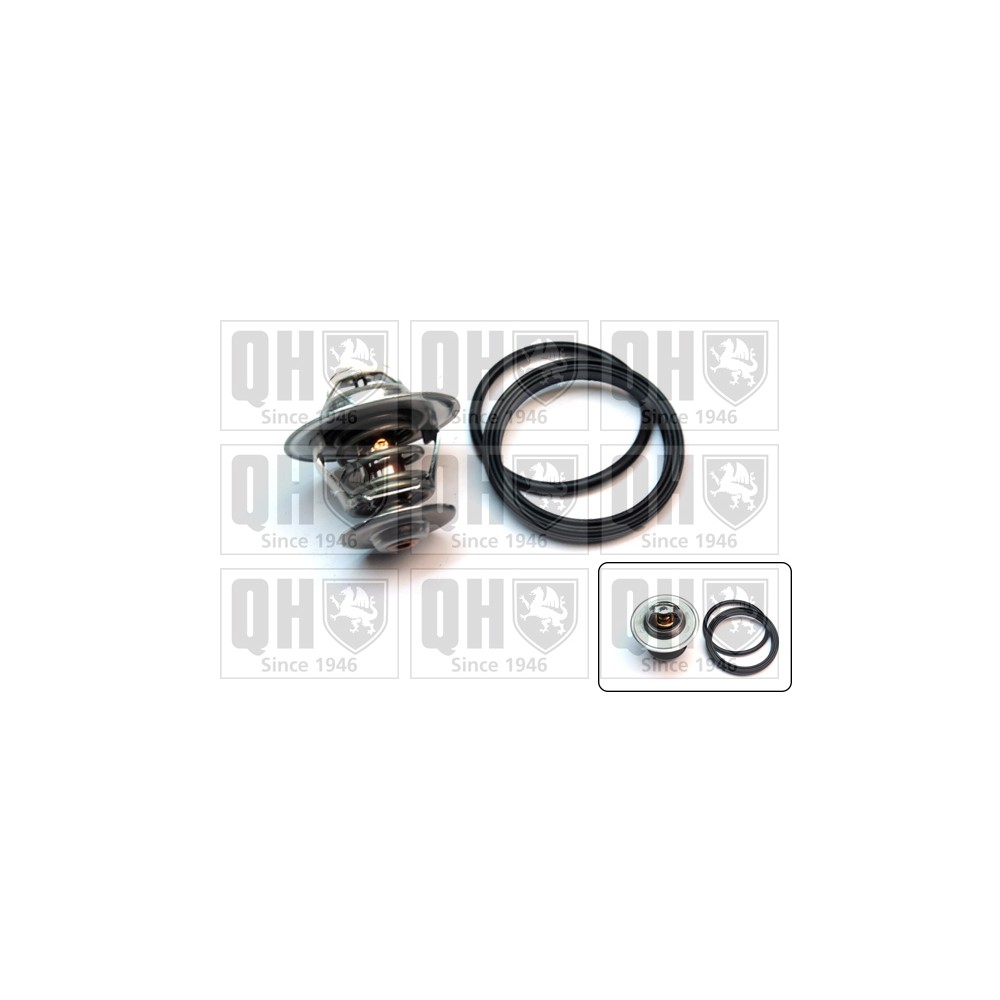 Image for QH QTH481K Thermostat Kit