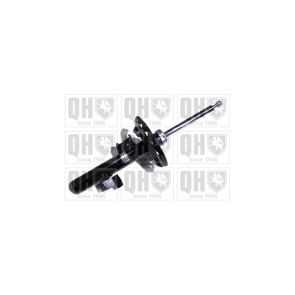 Image for QH QAG878133 Shock Absorber
