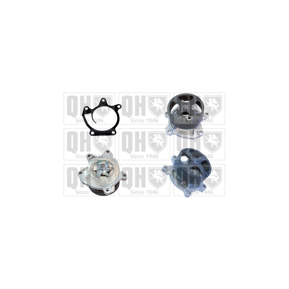 Image for QH QCP3801 Water Pump
