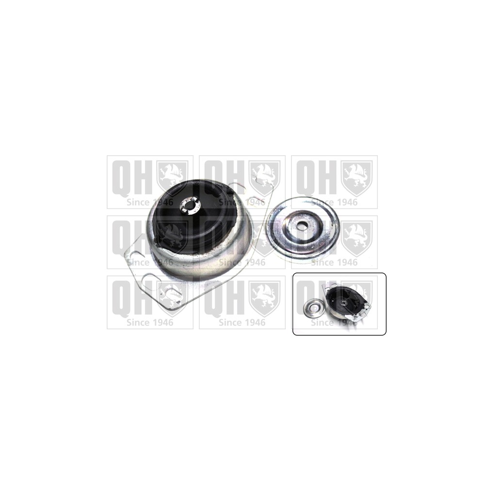Image for QH EM3127 Gearbox Mounting