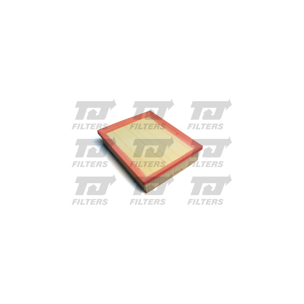 Image for TJ QFA0839 Air Filter