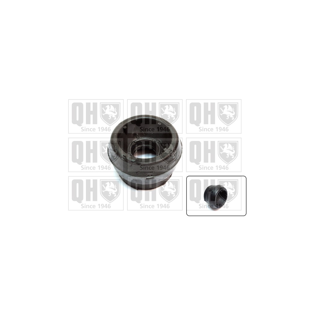 Image for QH EMR2334 Top Strut Mounting - Front exc.Bearing LH & RH