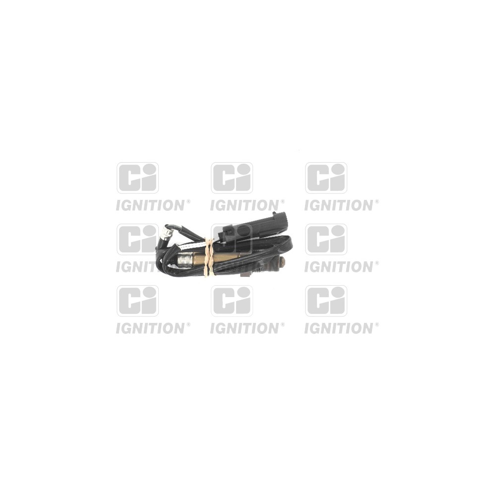 Image for Oxygen Sensor