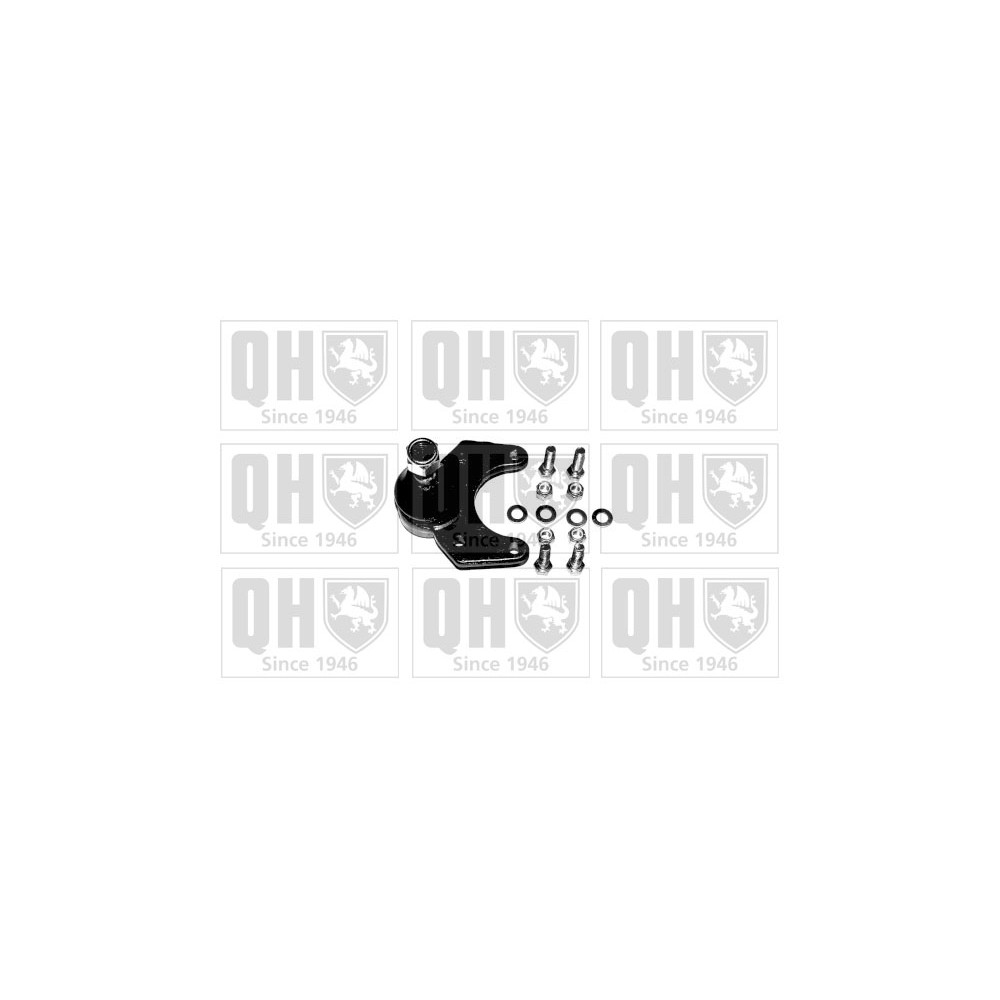 Image for QH QSJ977S Ball Joint - Front Lower LH & RH