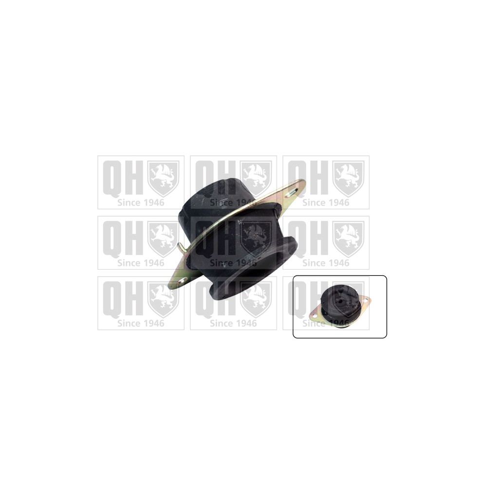 Image for QH EM4542 Engine Mounting