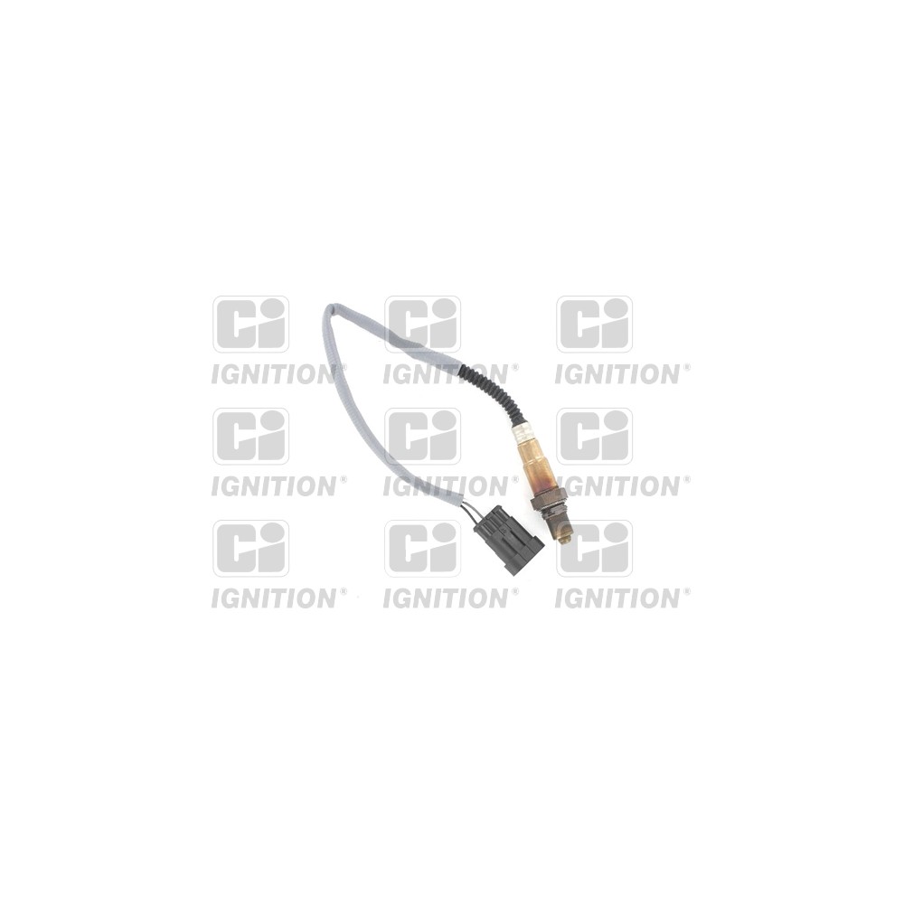 Image for Oxygen Sensor