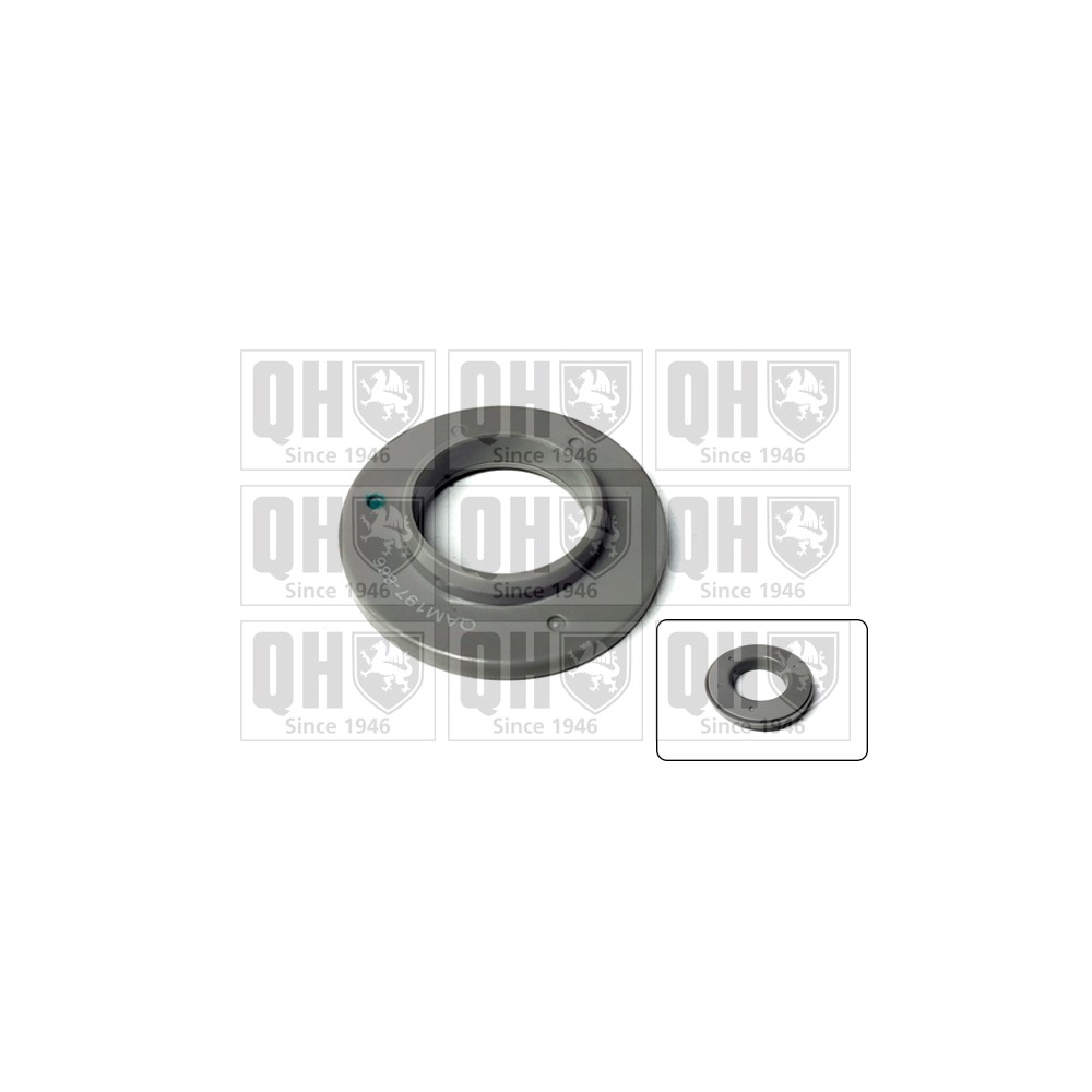 Image for QH QAM197 Top Strut Bearing