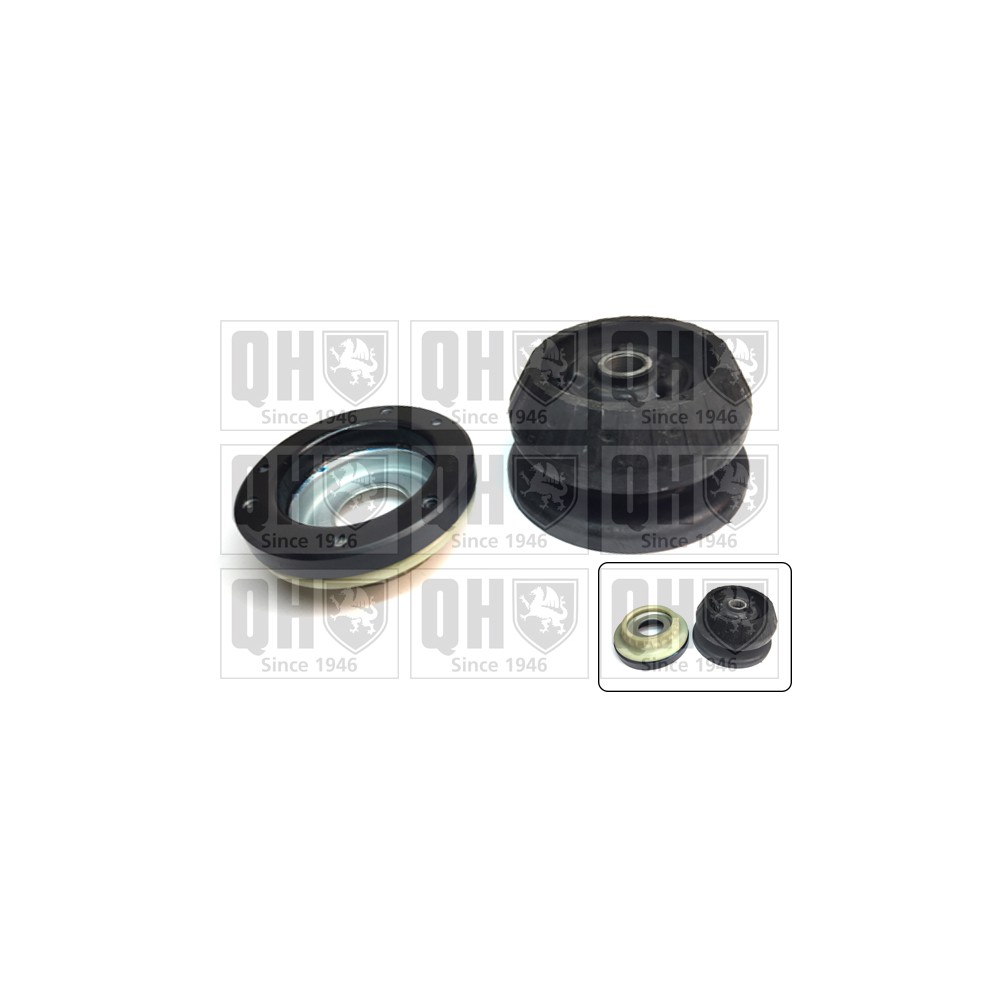 Image for QH EMA4948 Top Strut Mounting- inc Bearing