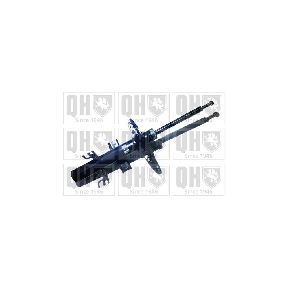 Image for QH QAG878119 Shock Absorber
