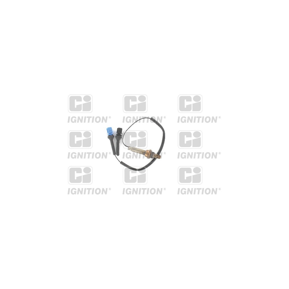 Image for Oxygen Sensor