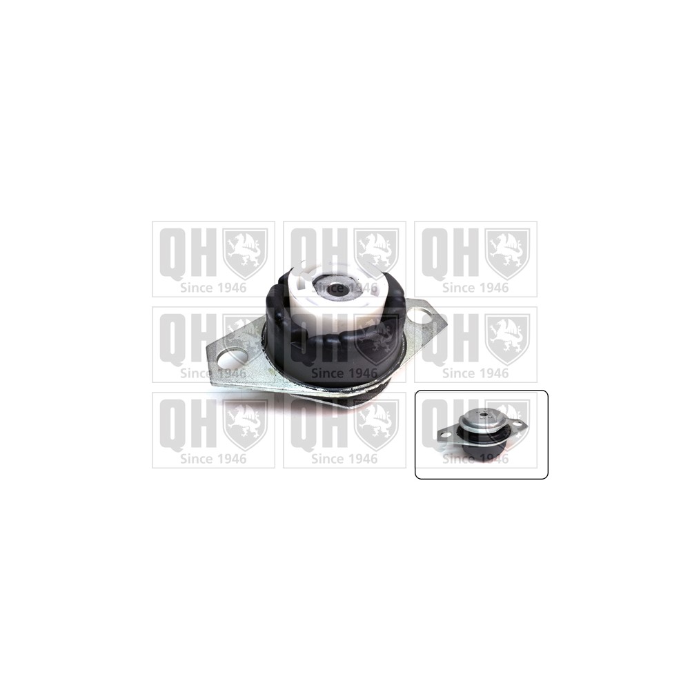 Image for QH EM4717 Engine Mounting