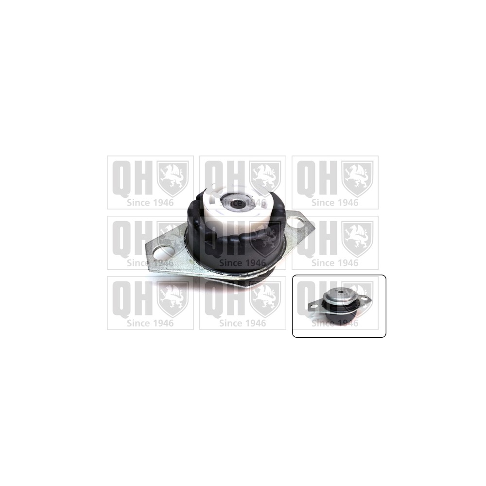 Image for QH EM4717 Engine Mounting