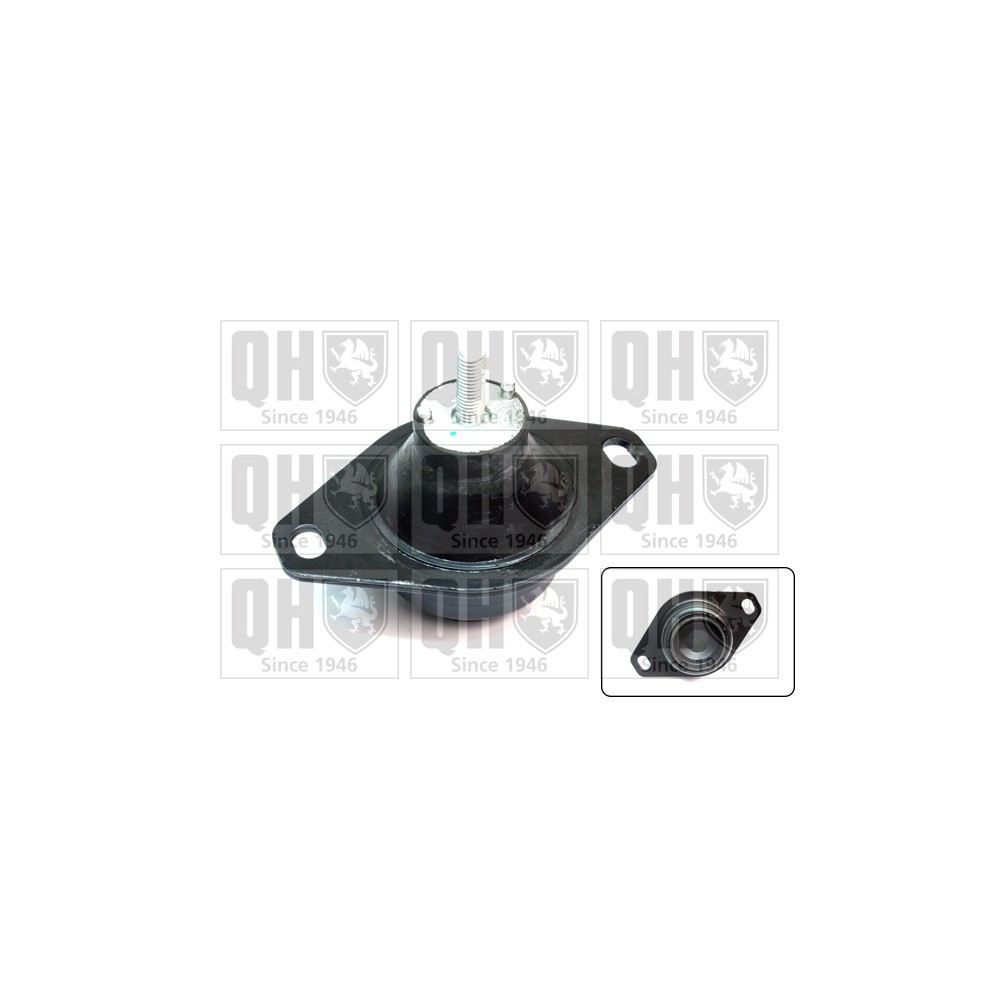 Image for QH EM3178 Engine Mounting