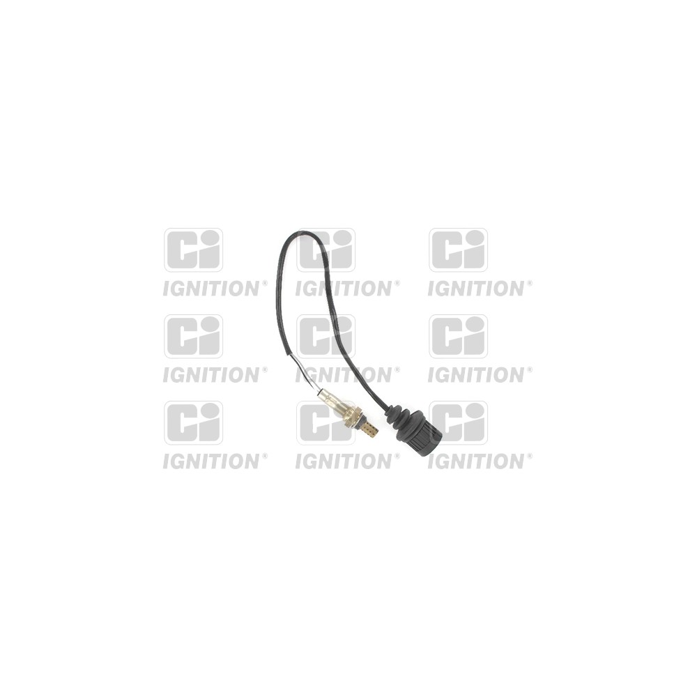 Image for Oxygen Sensor