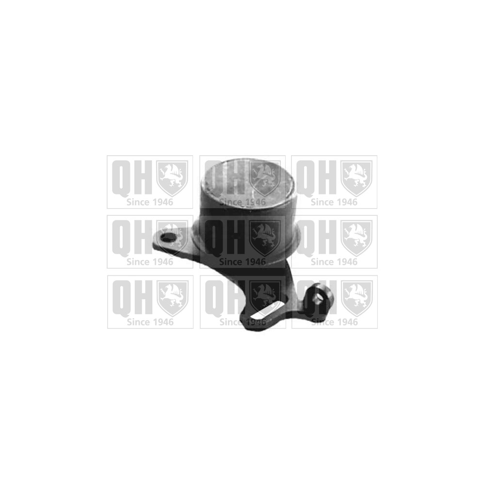 Image for QH QTT133 Timing Belt Tensioner