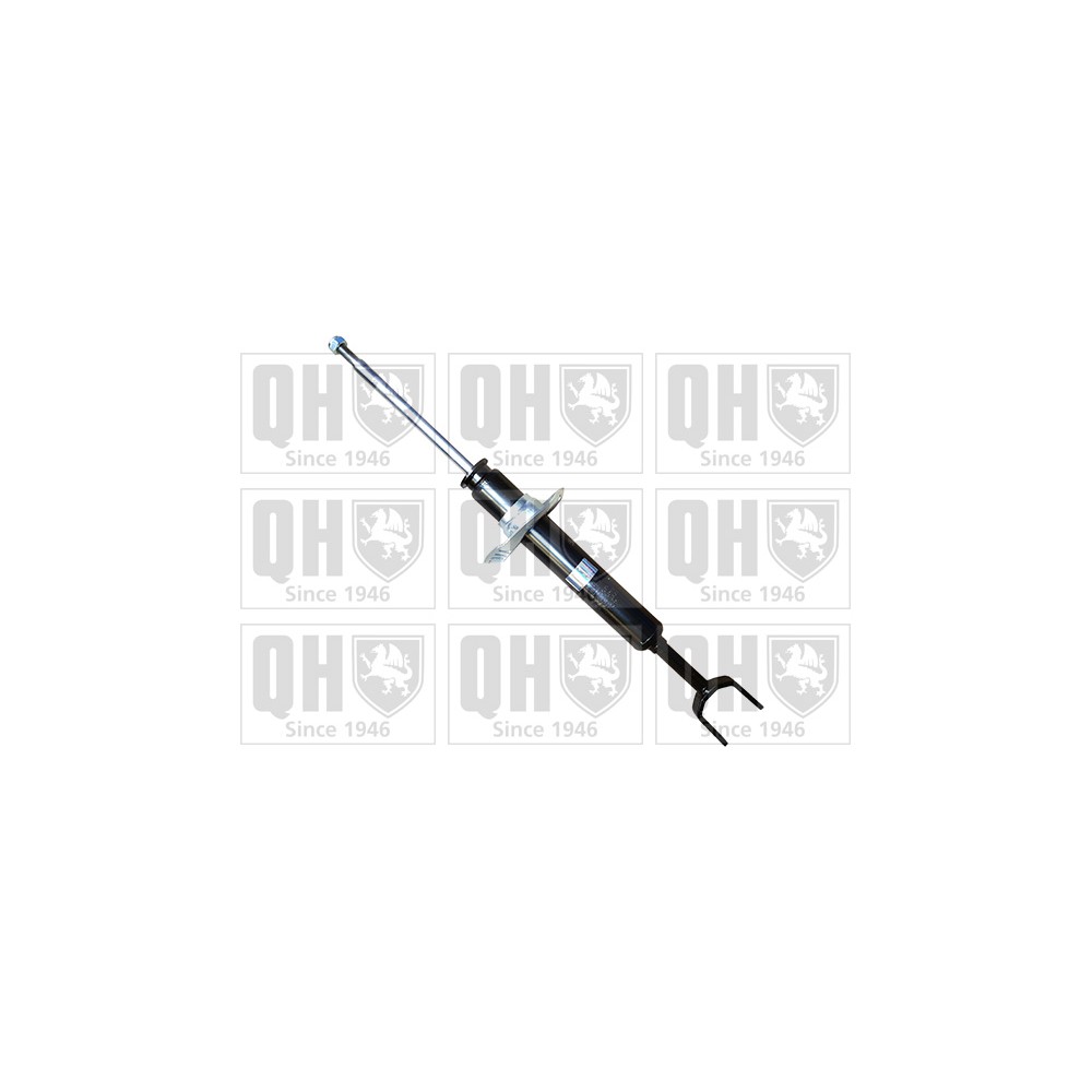 Image for QH QAG179619 Shock Absorber